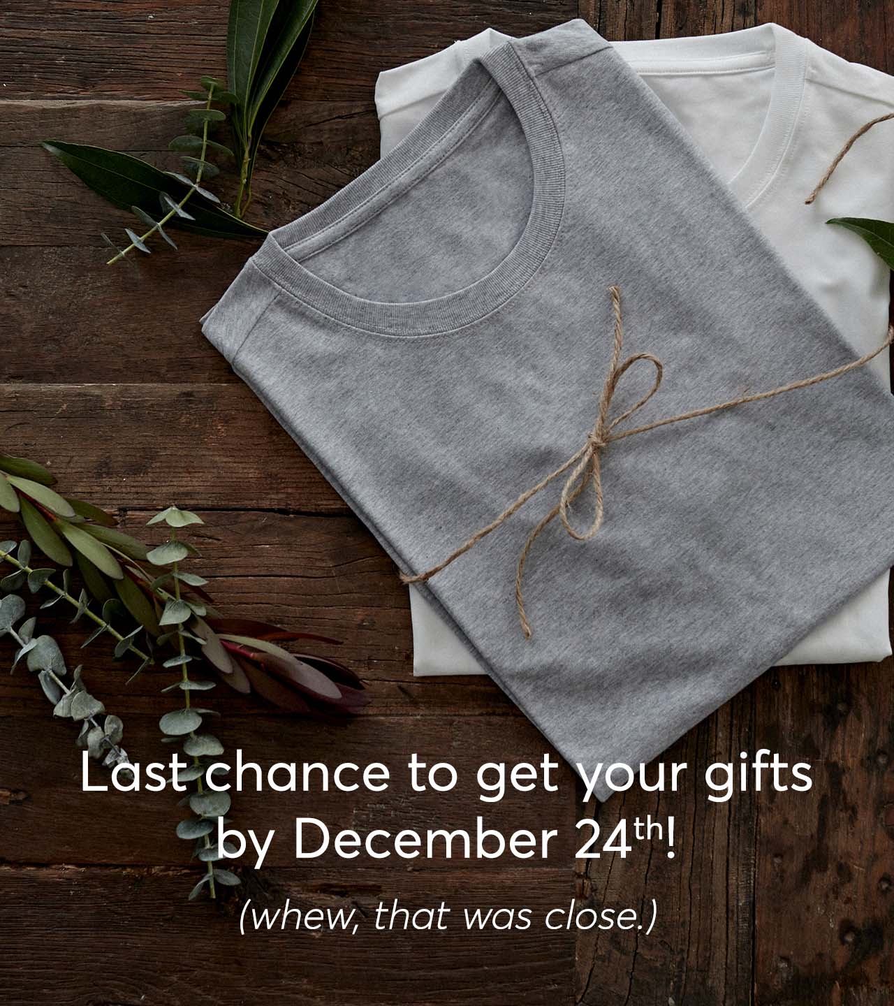 Last chance to get your gifts by December 24th!