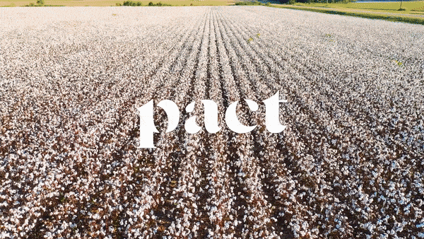 Welcome to Pact! No one can do like we do it.