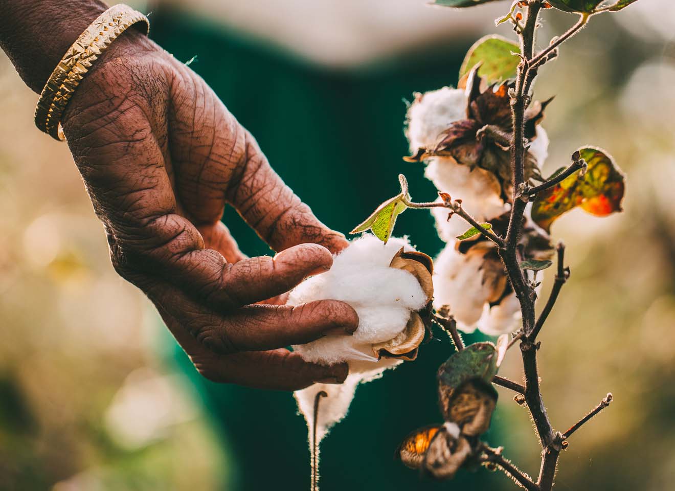 Pact Apparel Reviews Dealz Coupons