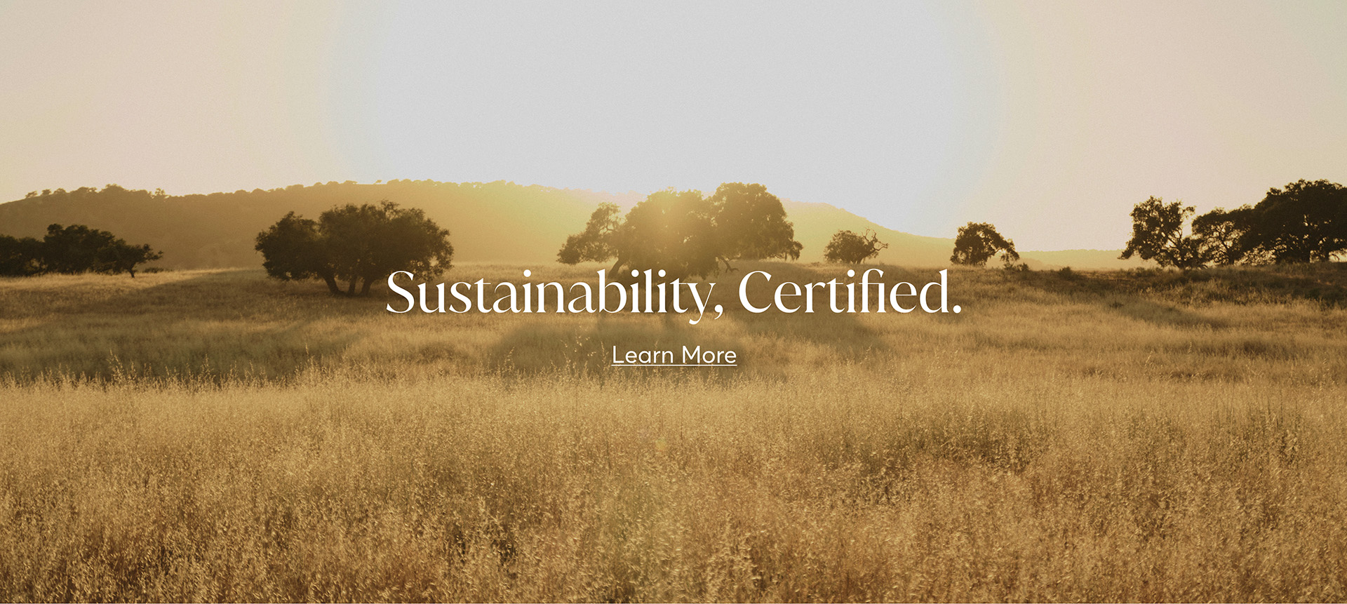 Sustainability Certified